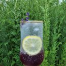 덕산농원 이미지