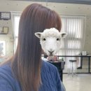 792 | [수원/팔달구/인계동/미용실] 케라틴 듬뿍 클리닉 맛집🙋🏻‍♀️ 휘유헤어수원 더캐릭터메이크업 인계점...