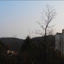 서천향교 Daum카페