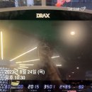 헬린이 운동일기 ◡̈ 운동하자아 !!! ⸝⸝ʚ̴̶̷̆ ̯ʚ̴̶̷̆⸝⸝