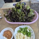 천문대로맛집 | 영천 한식 맛집 '천문대로맛집' 제육볶음 내돈내산 후기