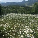 청풍을담다 이미지