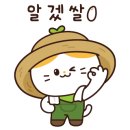 올리브스낵 이미지