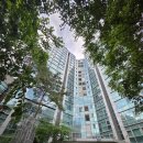 디엠씨(DMC) 이미지