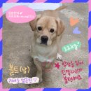 유기볼트 이미지