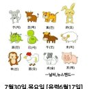 7월30일 목요일 이미지