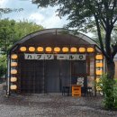 밀양 | 밀양 감성숙소 해브솔 캠프 글램핑 후기 예약 꿀팁