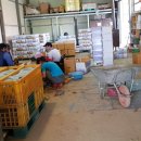 대지농산 이미지