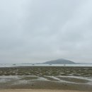 전라남도 무안군 / 홀통183 캠핑장