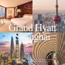 블래스랜드(업무용빌딩) | 상하이 호텔 추천 그랜드하얏트 상하이 동방명주뷰 2박 솔직 후기