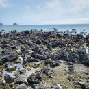 키즈풀빌라 아이놀자 이미지