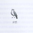 스피니 이미지