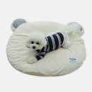 몰캉 이미지