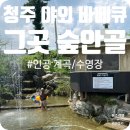 숲안골 | 청주 내수 야외 바베큐장 그곳 숲안골 인공계곡 수영장 이용 후기