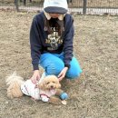 나우프린팅 | 주문제작후드티 커스텀나우, 강아지티셔츠 만드는 과정