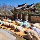 덕곡 아시아경제