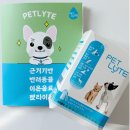 티와이마케팅 이미지