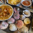 조은애견 이미지