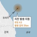 동해시-52 이미지