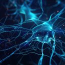 상동서울한방병원 이미지