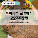 신화종합관리 | 제주가볼만한곳 동물 보고싶을때는 제주모모쥬 동물원