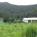 you공인중개사사무소 이미지