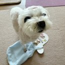 다이소 홍성점 이미지