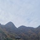 대성농원 이미지