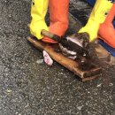 삼척번개시장 이미지