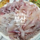 막썰어횟집 | 온천장단체모임 핫플! 부산동래구횟집 온천장 막썰어횟집 산오징어 재방문 후기