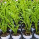 산들농장 이미지