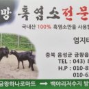 까망흑염소농장 네이버블로그