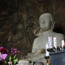 산방산의봄 이미지