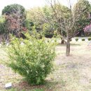 대구상원고등학교 이미지