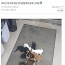 들임 이미지