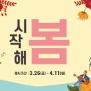 한국인삼공사정관장정관