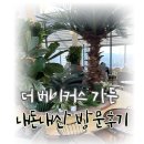 마석주유소 | 남양주 화도읍 마석 베이커리 카페 더 베이커스 가든 내돈내산 맛집 빵집 가족들과 함께 애견동반가능