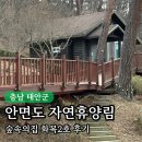 대화2호 | 안면도자연휴양림 숲속의집 화목2호 후기｜정수기·바비큐 없는 리얼 이용팁 + 예약방법 총정리
