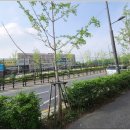 미사강변초등학교 이미지