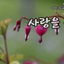 행복수예 이미지