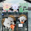 개떼월드 | 평택 애견카페 개떼월드 애견동반 아기랑 실내 카페 추천