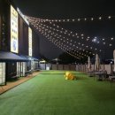 도그와트 이미지