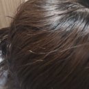 체스넛 - 부평구 | 웜톤 쿨톤 다 어울리는 고급스러운 염색 컬러는??, 체스넛브라운 셀프 염색 후기