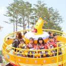 충주라바랜드 이미지