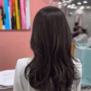 이철헤어&사랑