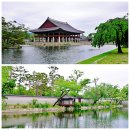 서울 종로구 경복궁 / 청와대 / 광화문광장 ('25.5.24) - 1 이미지