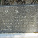 안동호반자연휴양림 이미지