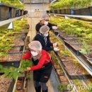 호천농장 이미지