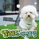 노은유치원 네이버블로그