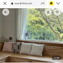 스테이돌레